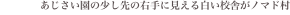 shapeimage_1_link_8